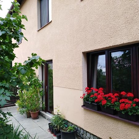Ubytovani Bludov U Lazni Ngoại thất bức ảnh